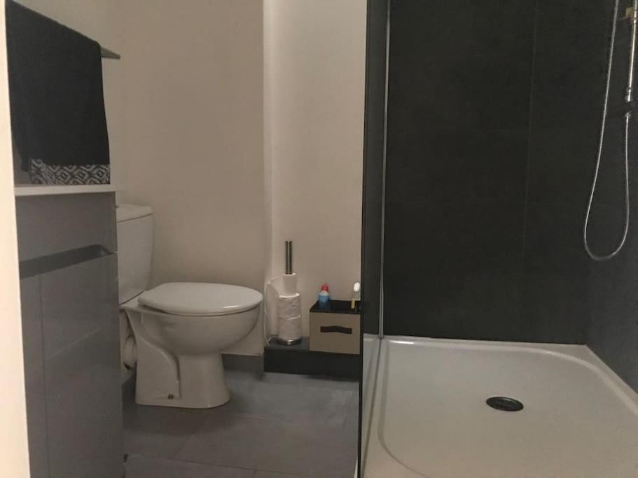 Appartement Avec Terrasse Centre De La Bastide Carcassonne Eksteriør bilde